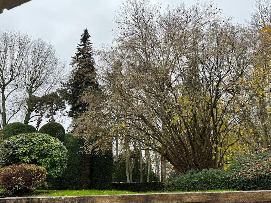 Photo of Outdoor in Notre-Dame