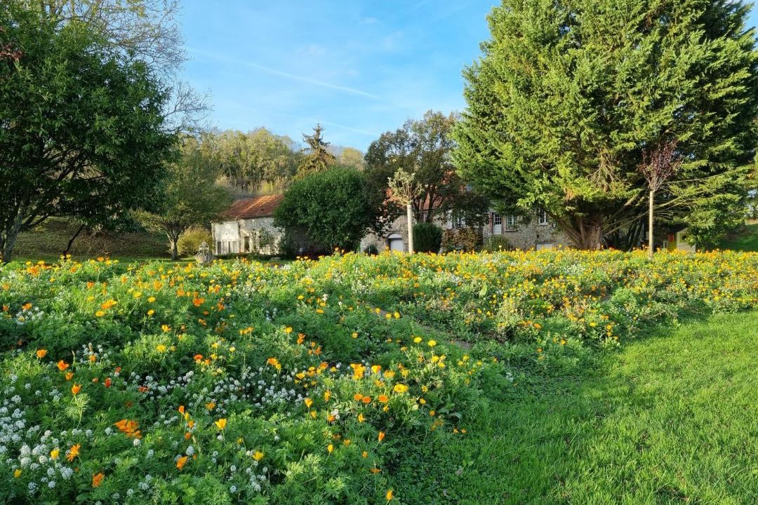 Photo of Others in Chatillon-sur-Marne