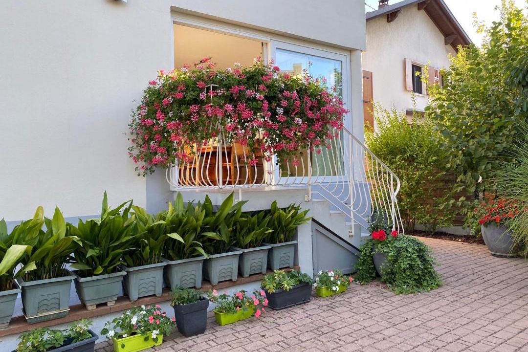 Photo of Others in Lingolsheim