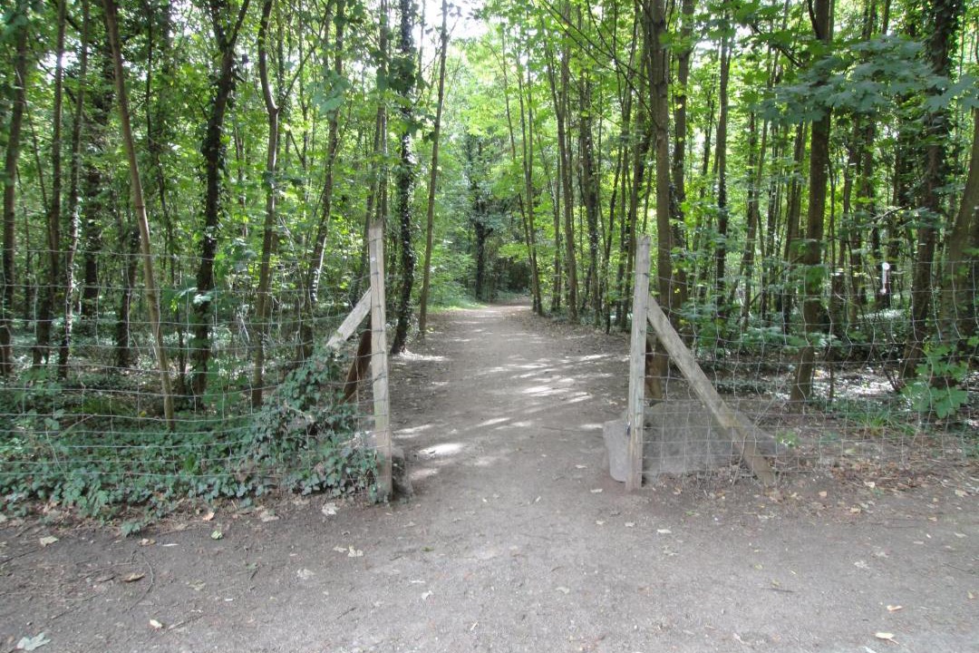 Photo of Outdoor in Robertsau