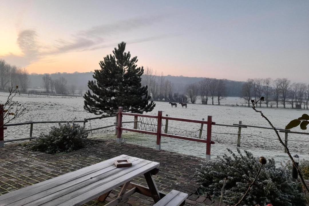 Photo of Others in Hesdin-l'Abbe
