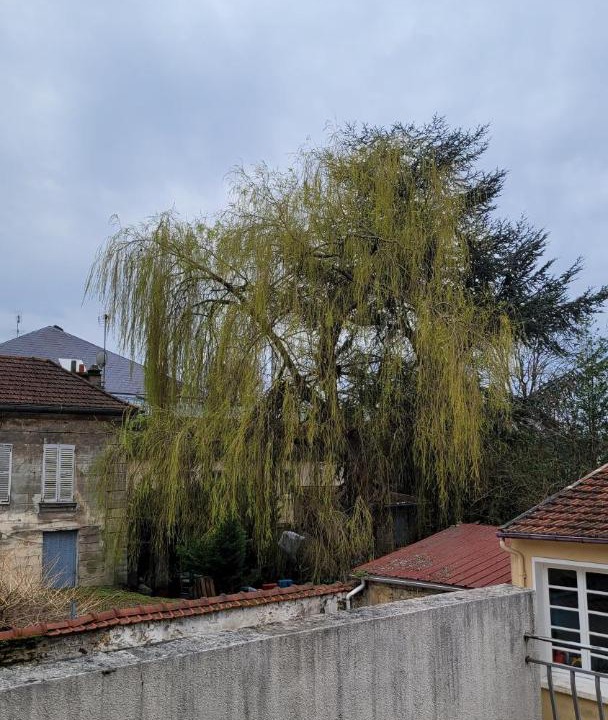 Photo of Others in Saint-Brice-sous-Foret