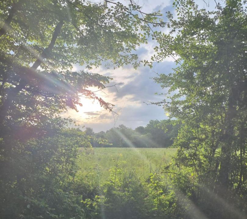 Photo of Outdoor in Arquian