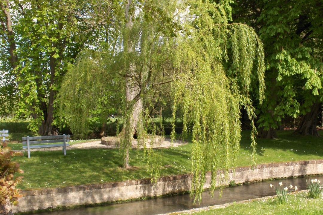 Photo of Others in Saint-Omer-en-Chaussee