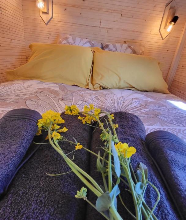 Photo of Bedroom in Dallon
