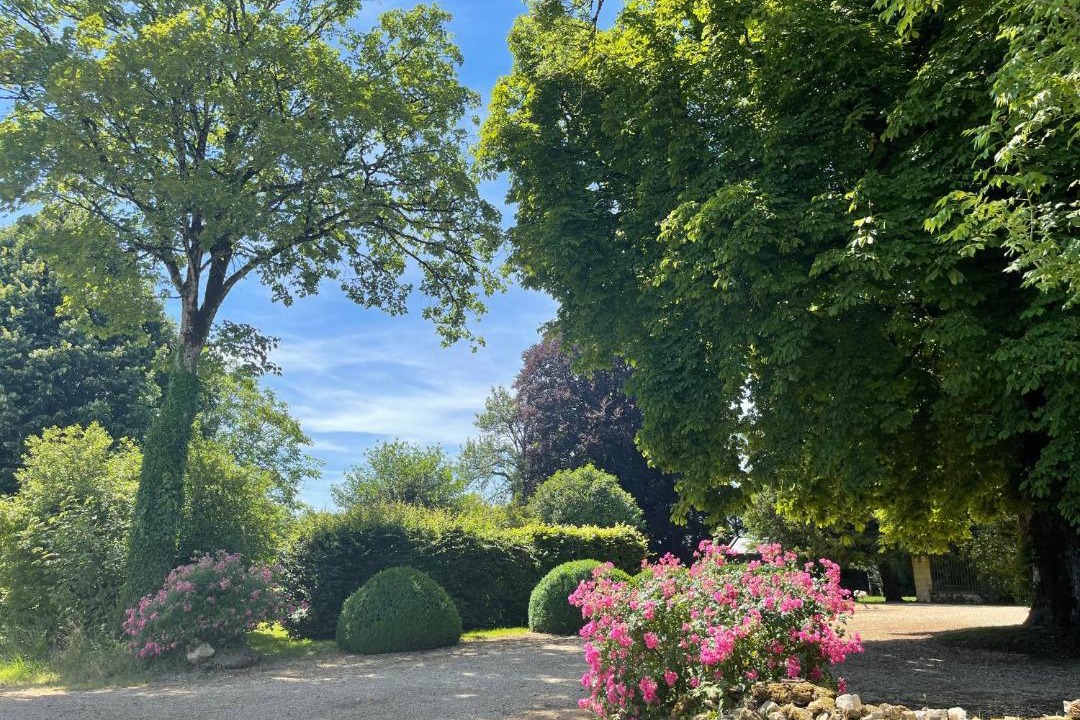 Photo of Outdoor in Mazerny