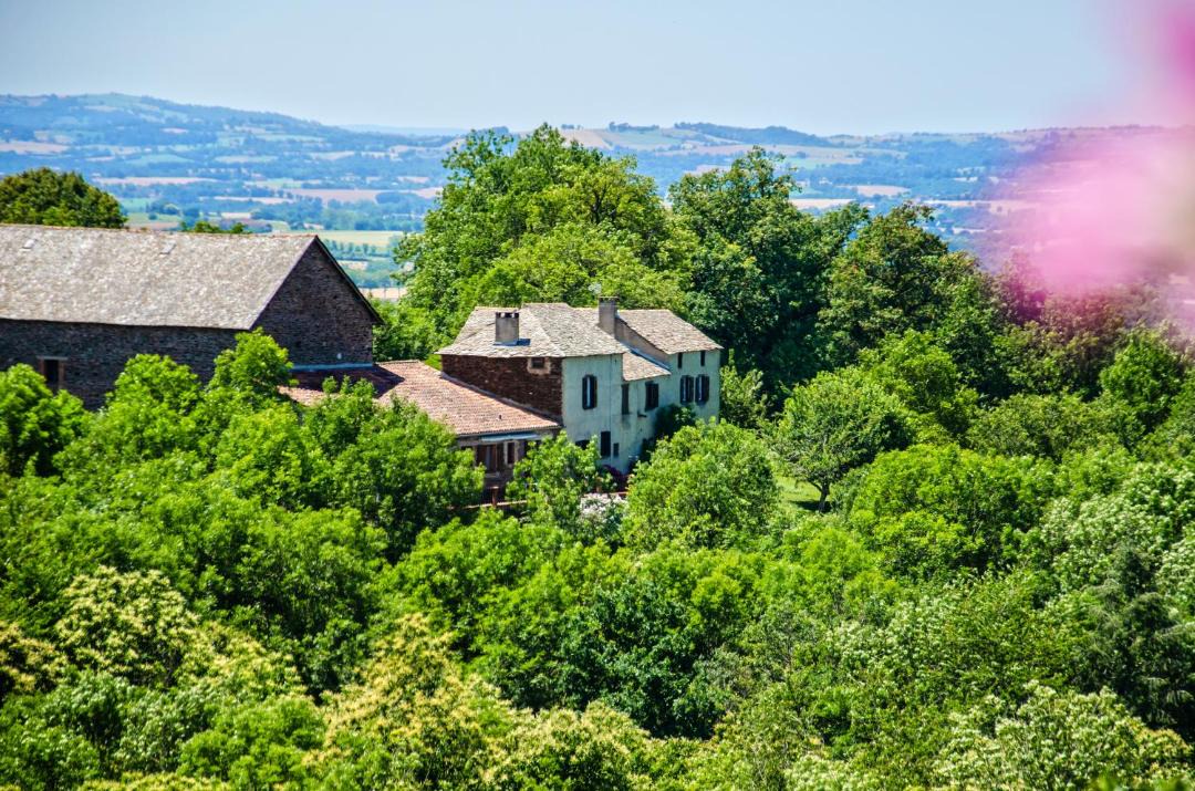 Photo of Buildings in Pampelonne