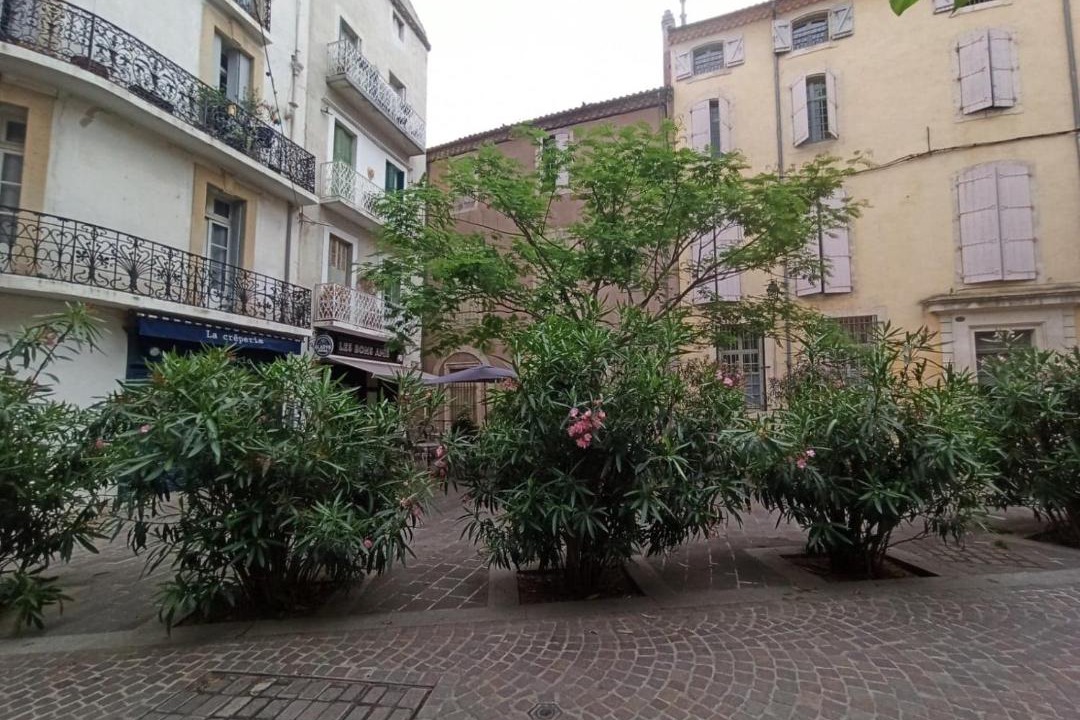 Photo of Buildings in Beziers City Centre