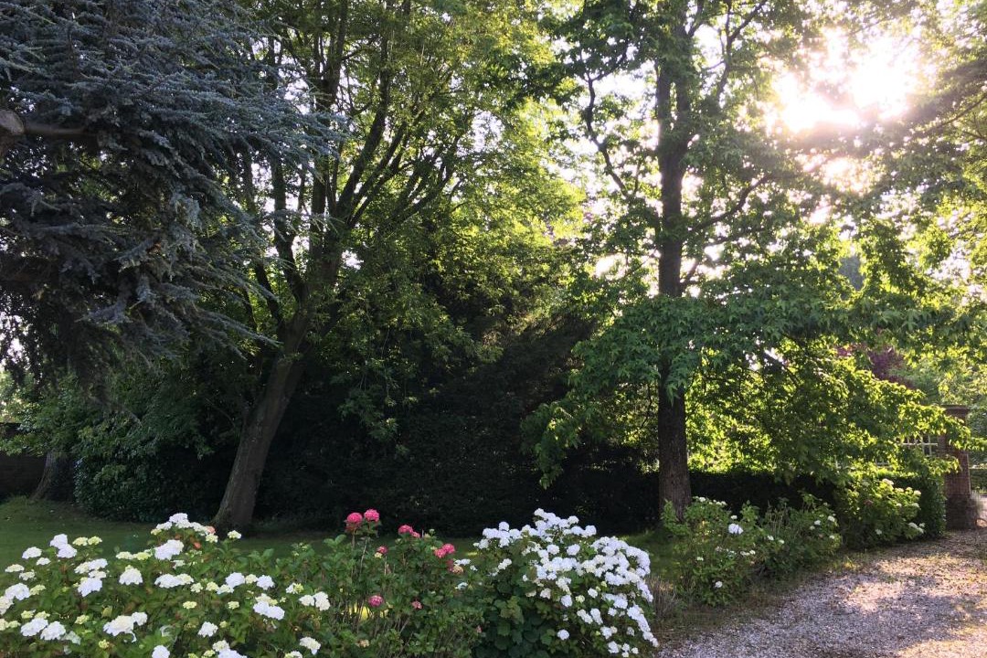 Photo of Others in Belmesnil