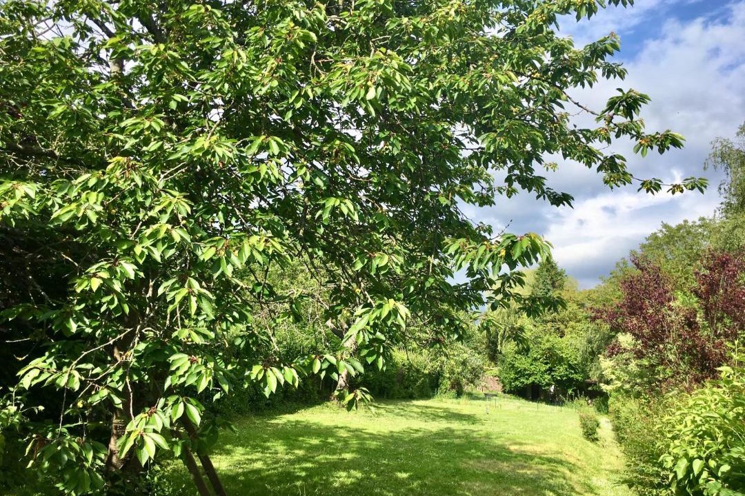 Photo of Outdoor in Huby-Saint-Leu
