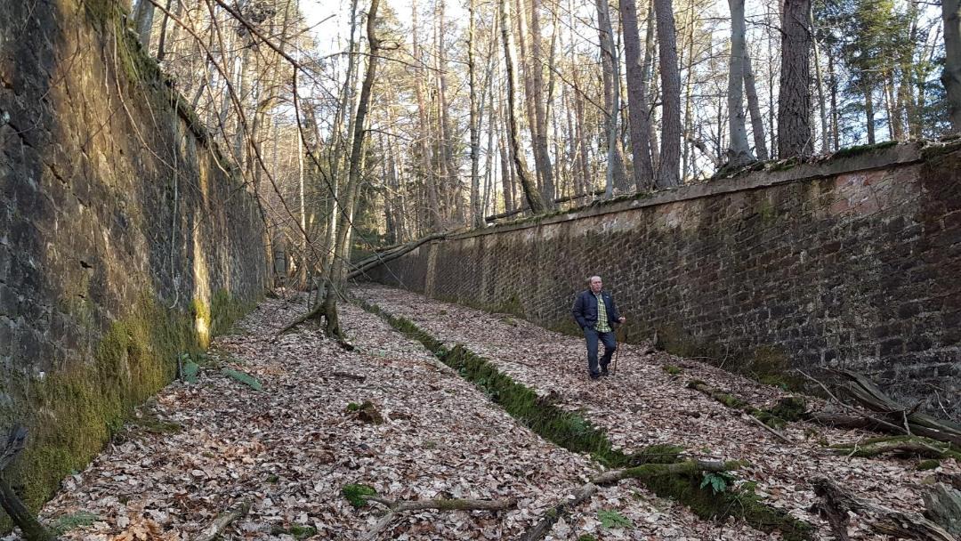 Photo of Others in Soultz-sous-Forets