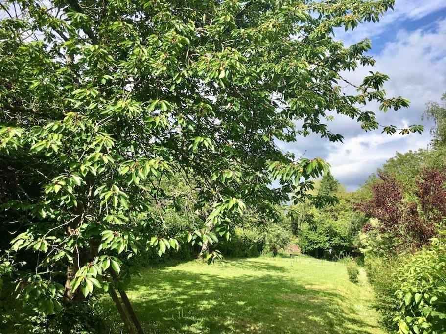 Photo of Outdoor in Huby-Saint-Leu