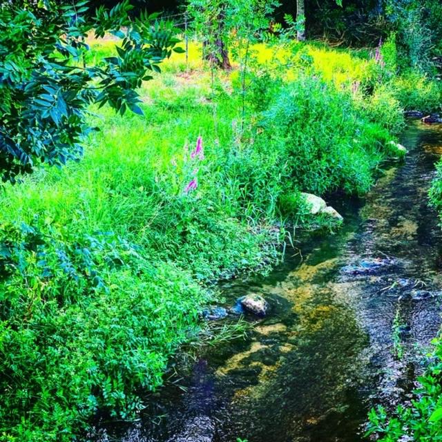 Photo of Outdoor in Fresnes-en-Woevre