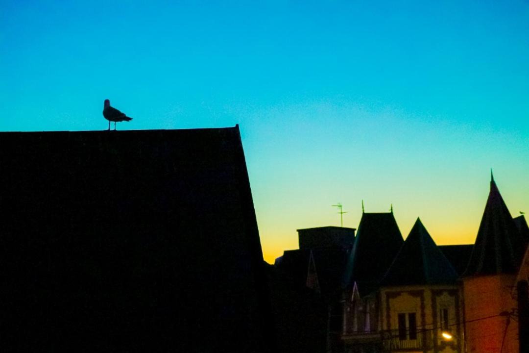Photo of Buildings in Berck-sur-Mer