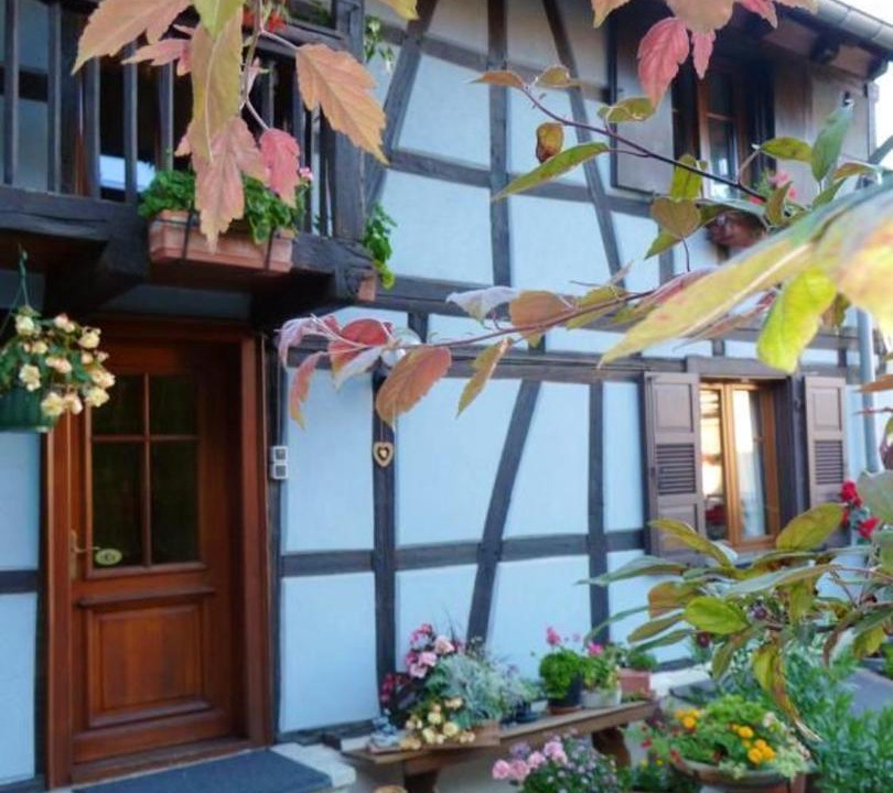 Photo of Buildings in Wingersheim