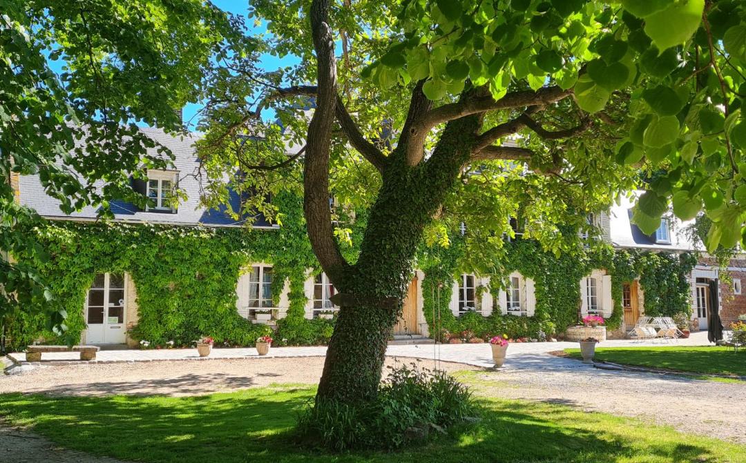 Photo of Others in Saint-Riquier