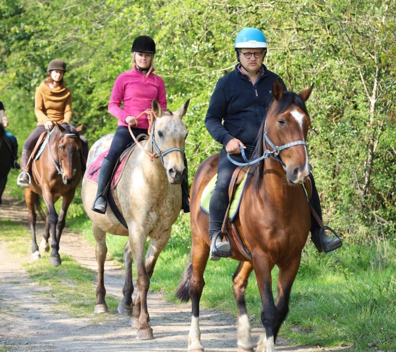 Photo of Others in Sainte-Gemmes-le-Robert
