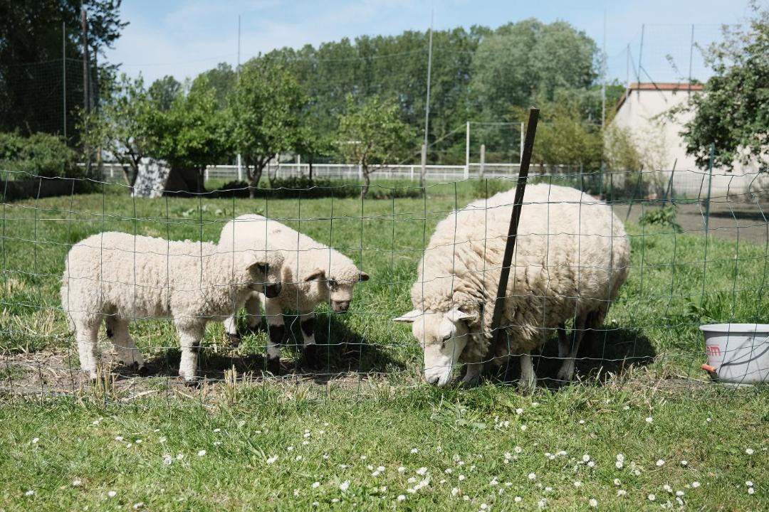 Photo of Others in Folembray