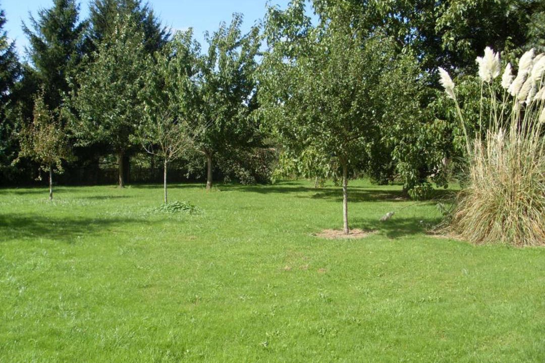 Photo of Outdoor in Cussangy