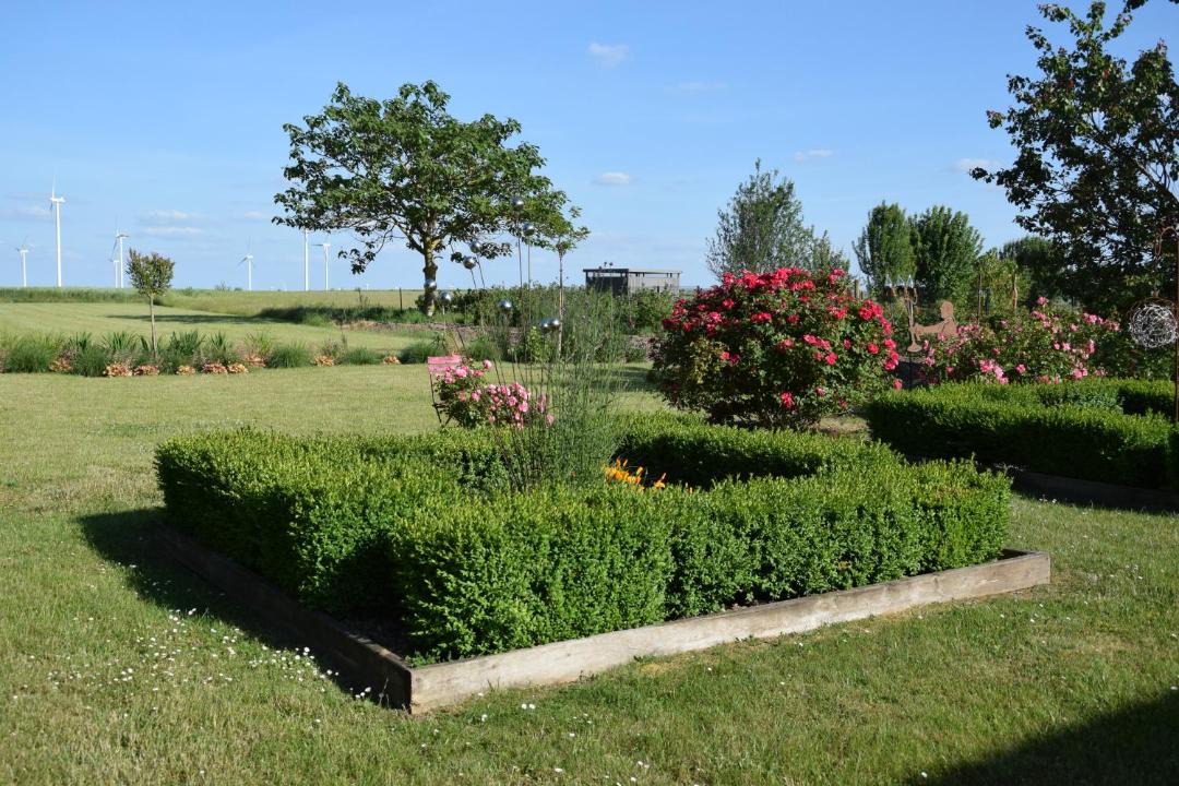Photo of Others in Rouy-le-Petit