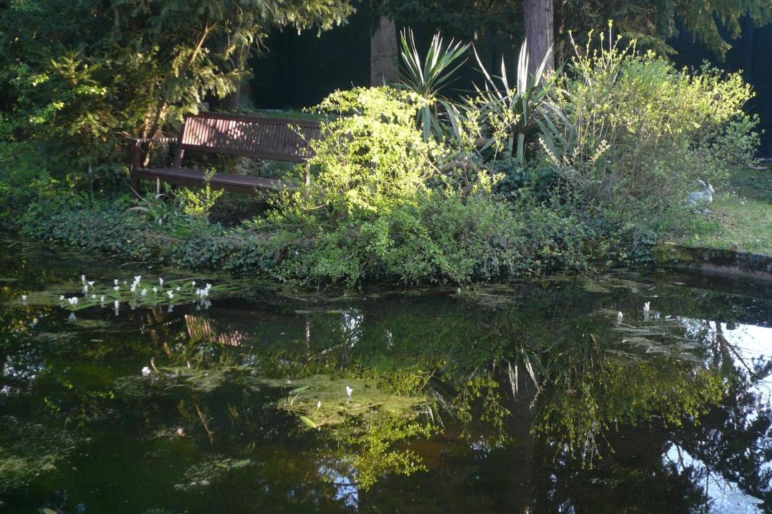 Photo of Others in Giverny