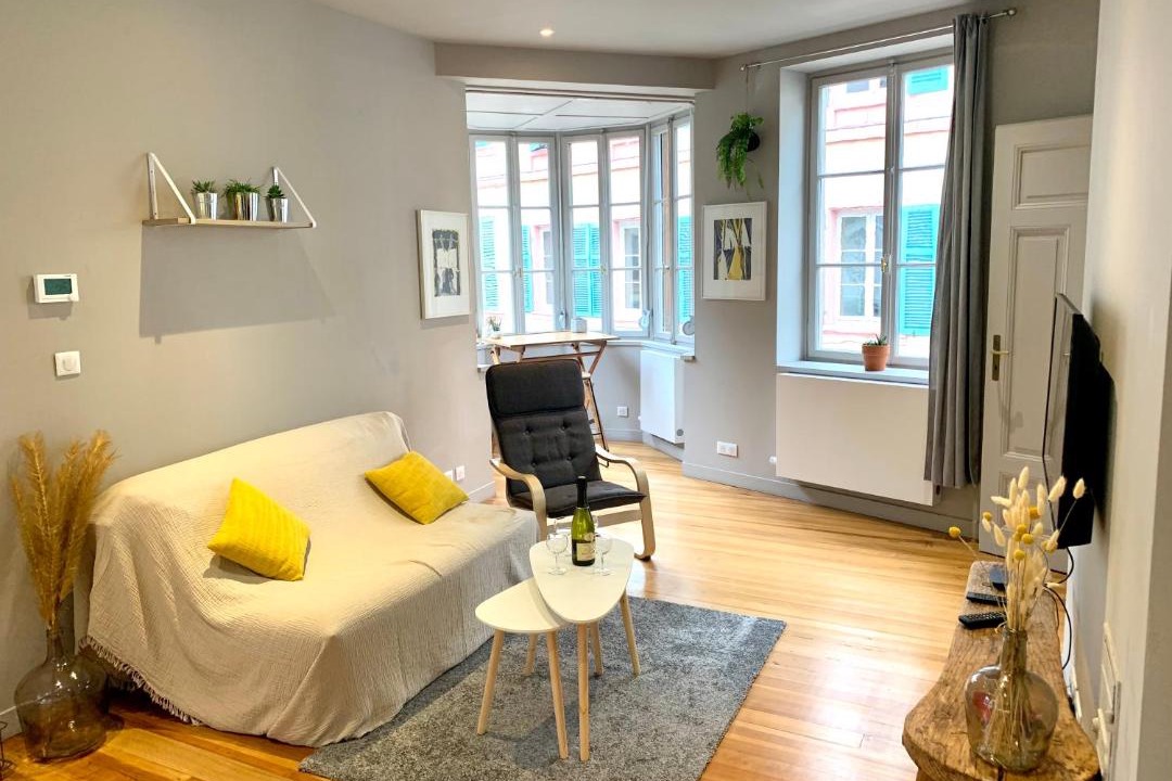 Photo of Livingroom in Colmar Centre Ville