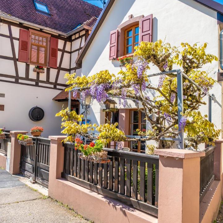 Photo of Others in Wissembourg