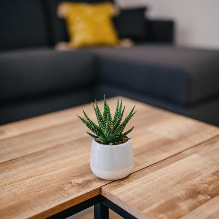 Photo of Livingroom in Boofzheim