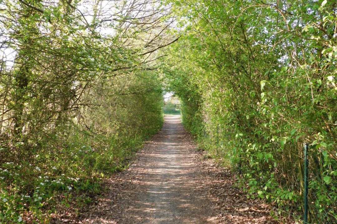 Photo of Outdoor in Bouere