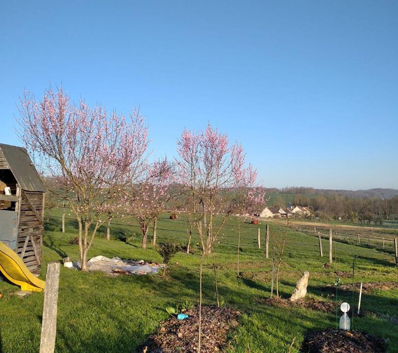 Photo of Outdoor in Montfaucon