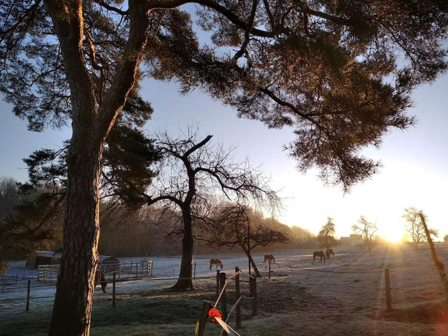 Photo of Outdoor in Montfaucon