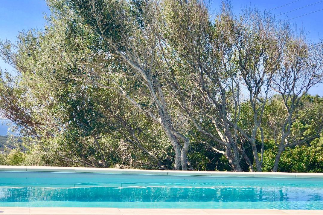 Photo of Outdoor in Porto Pollo