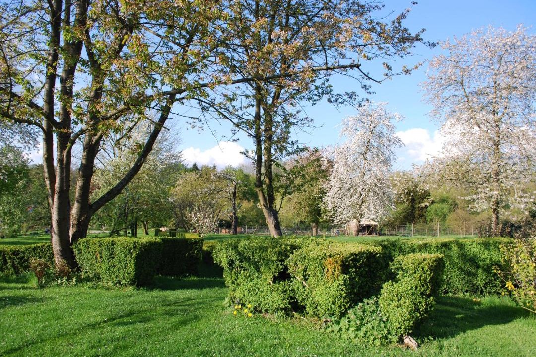 Photo of Others in Le Plessis-Luzarches