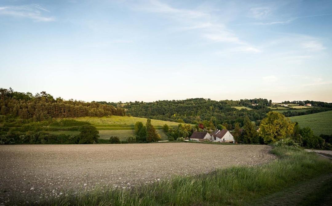 Photo of Others in Montlevon