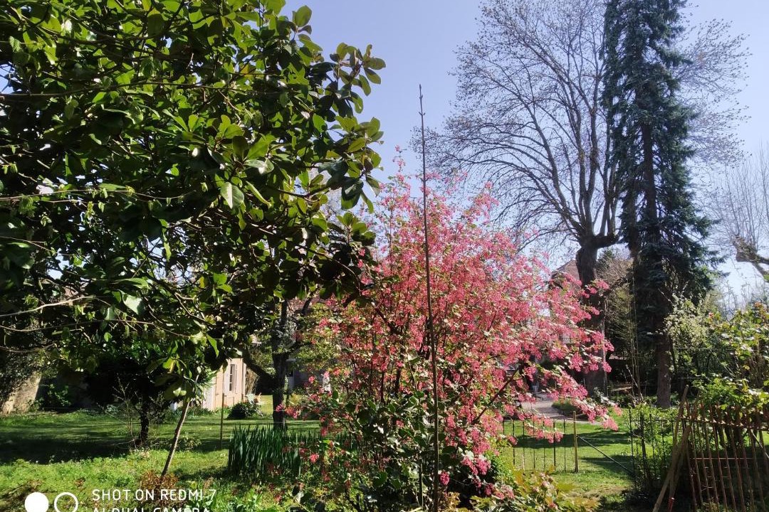 Photo of Outdoor in Besancon
