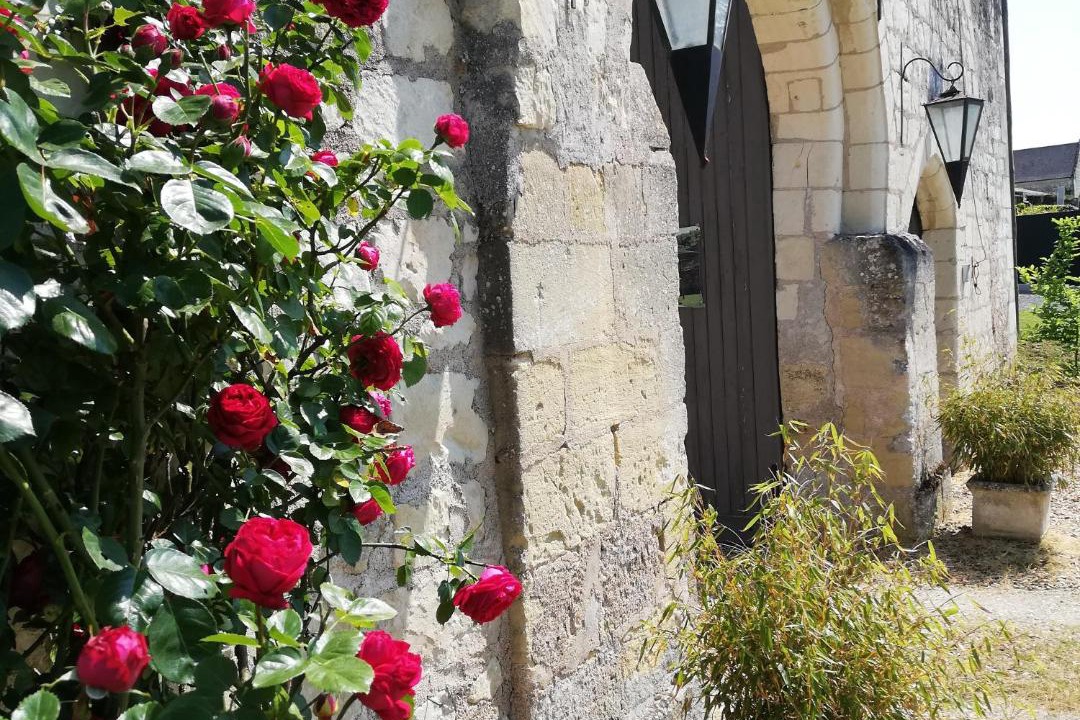 Photo of Others in Chinon