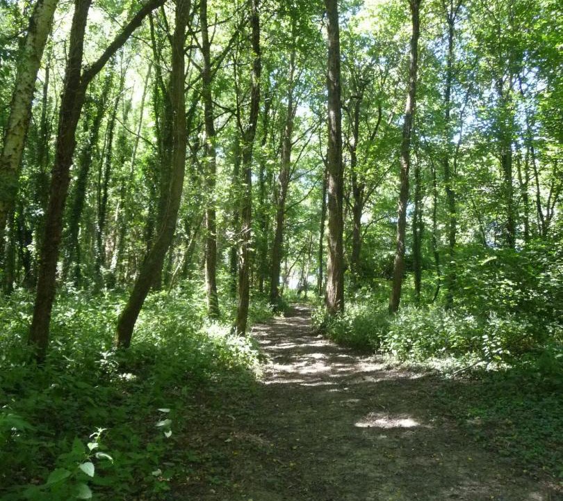 Photo of Outdoor in Bazouges-sur-le-Loir