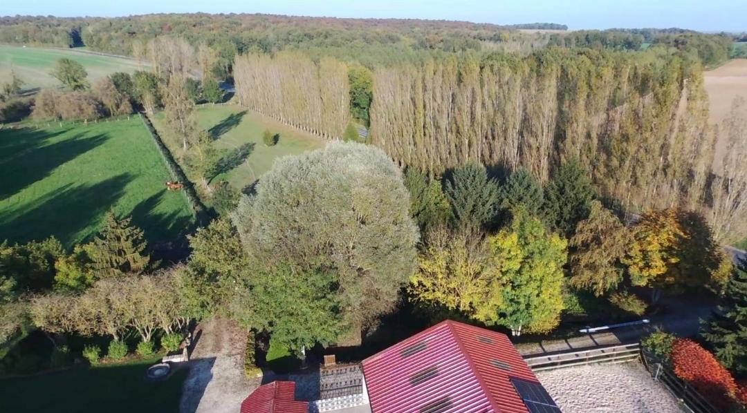 Photo of Others in Soizy-aux-Bois