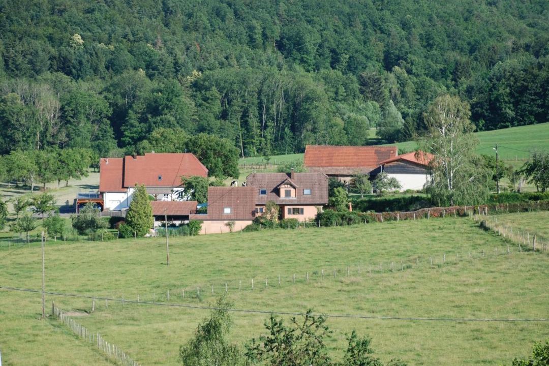 Photo of Others in Thal-Marmoutier