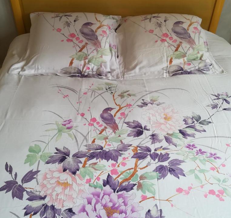 Photo of Bedroom in Andresy