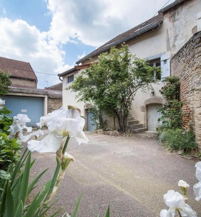 Photo of Others in Savigny-les-Beaune