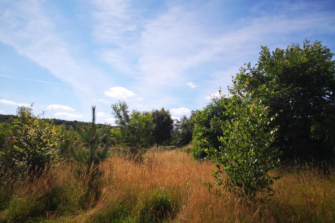 Photo of Others in Campneuseville