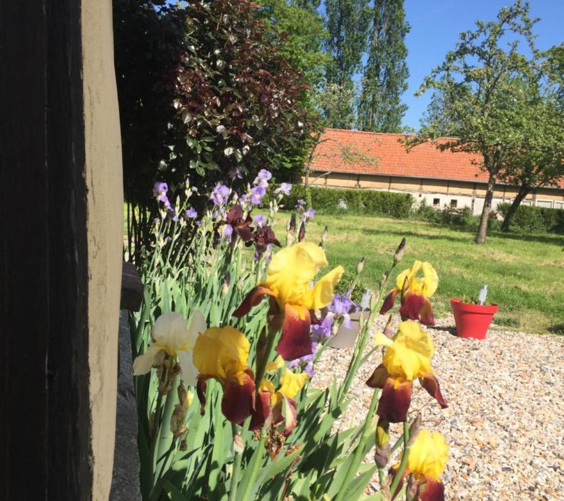Photo of Others in Fresne-le-Plan