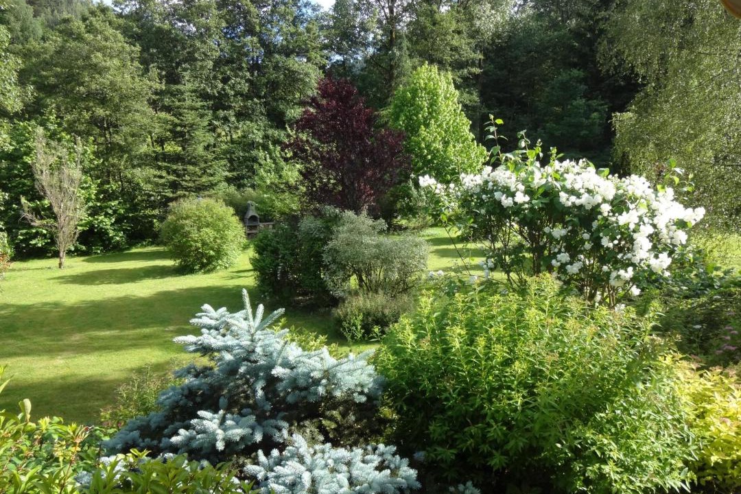 Photo of Outdoor in Wangenbourg-Engenthal