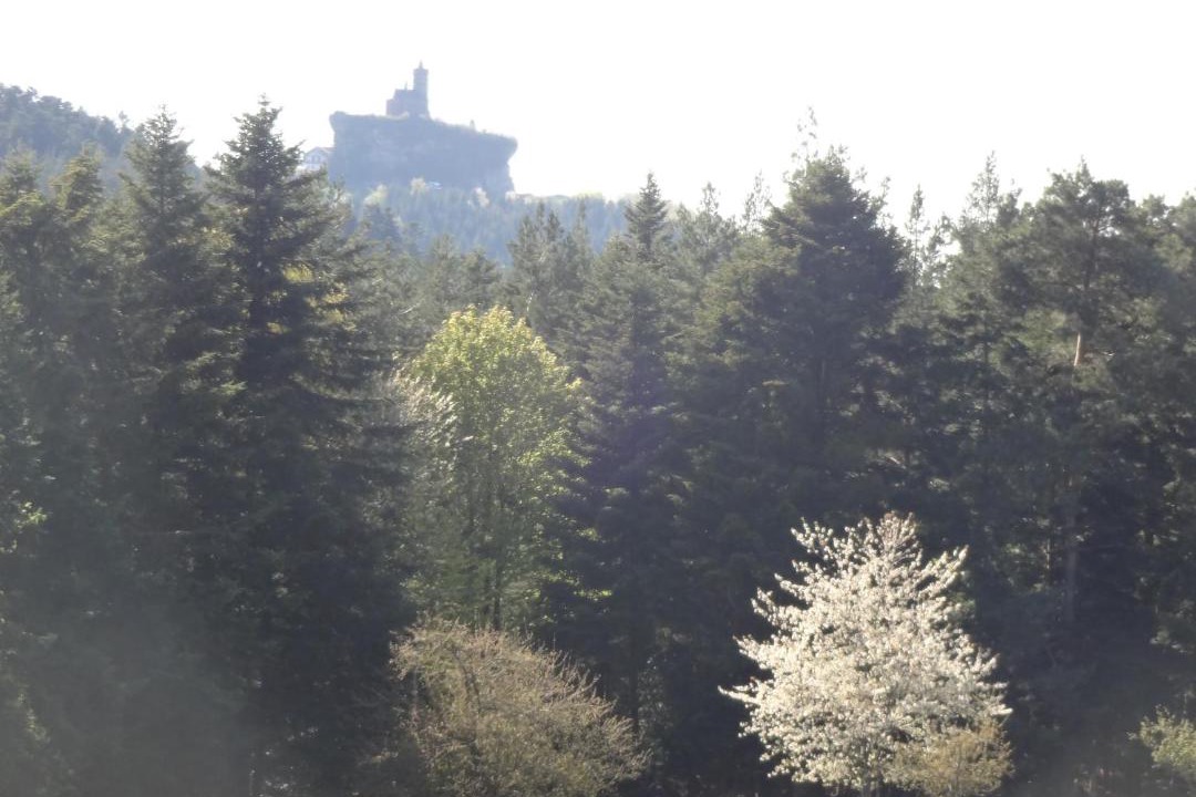 Photo of Outdoor in Wangenbourg-Engenthal