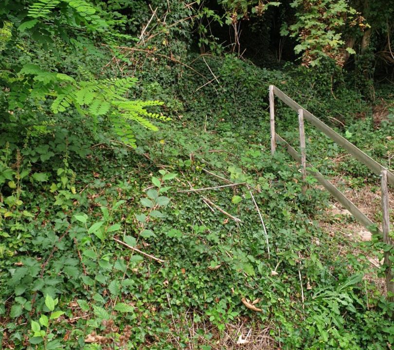 Photo of Outdoor in Cormeilles