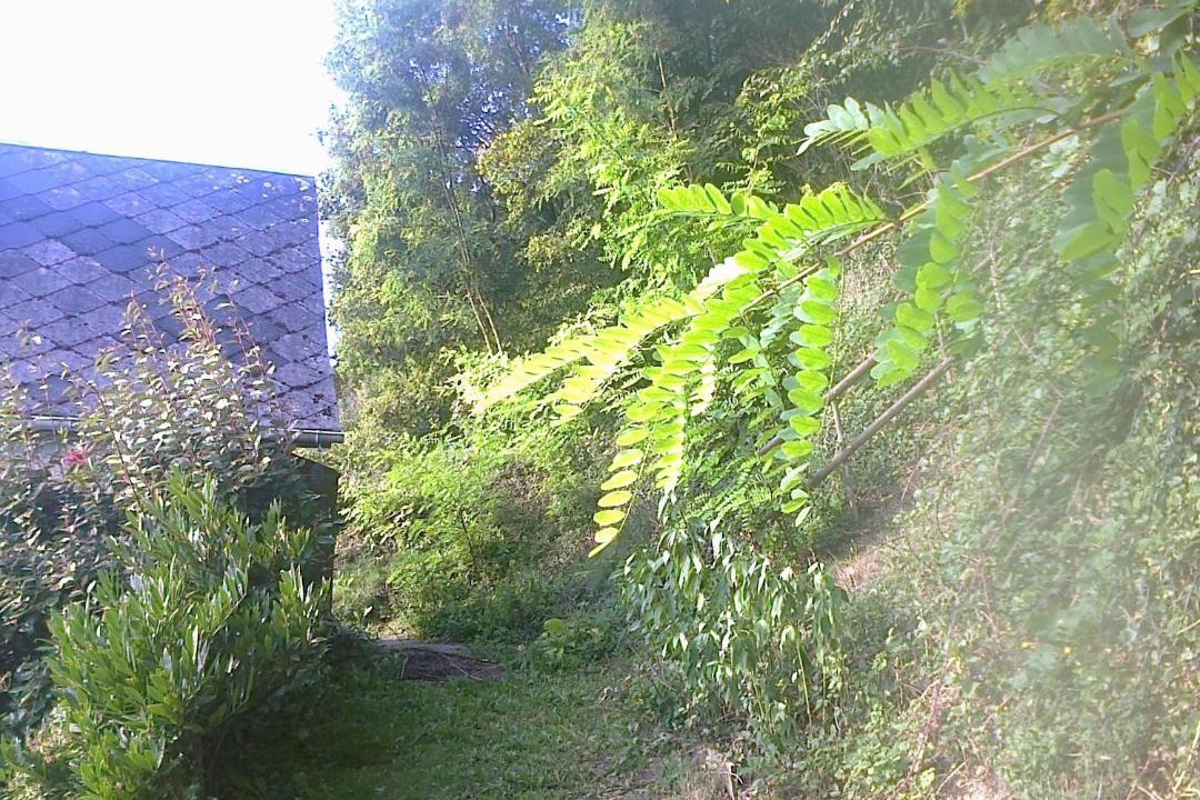 Photo of Outdoor in Cormeilles