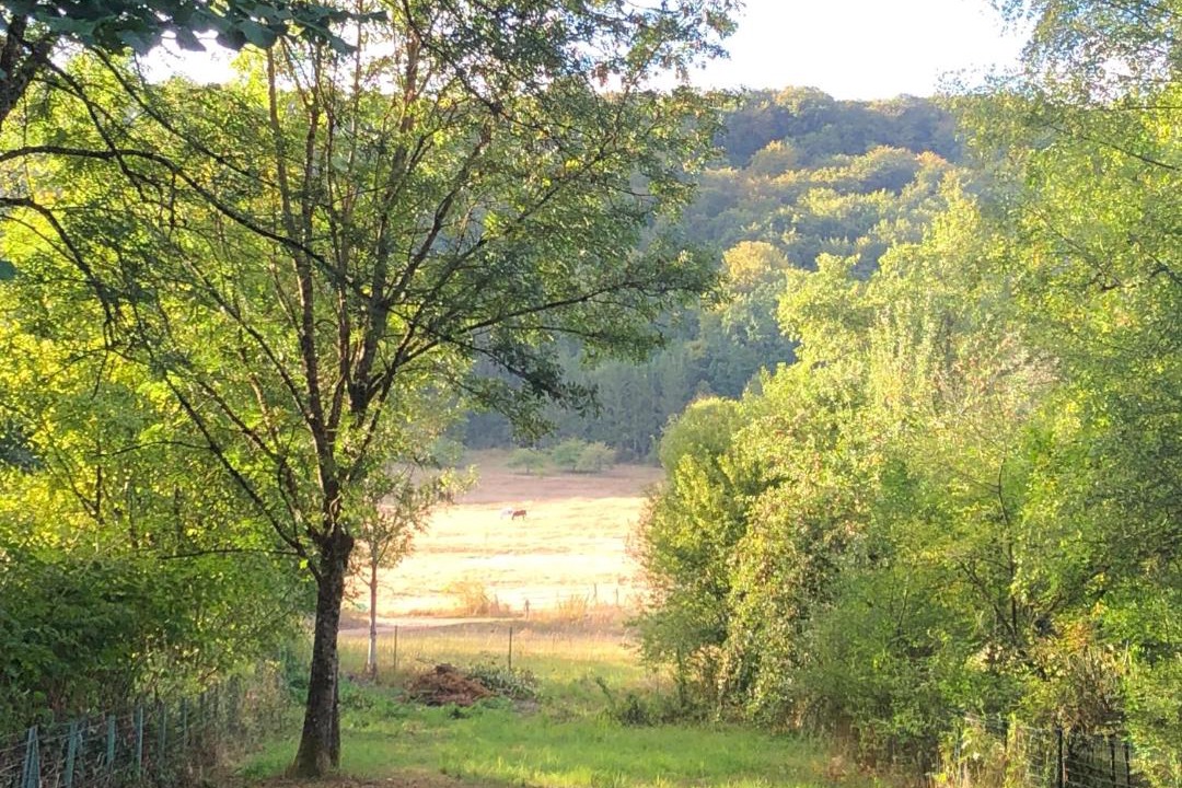 Photo of Outdoor in Lissey