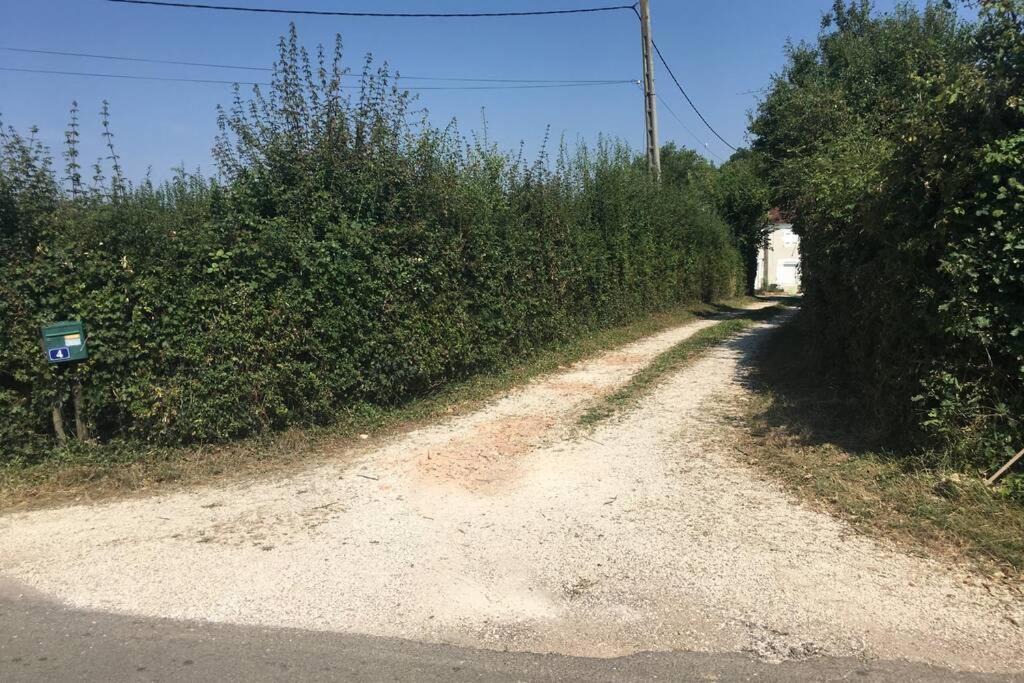 Photo of Others in Treigny