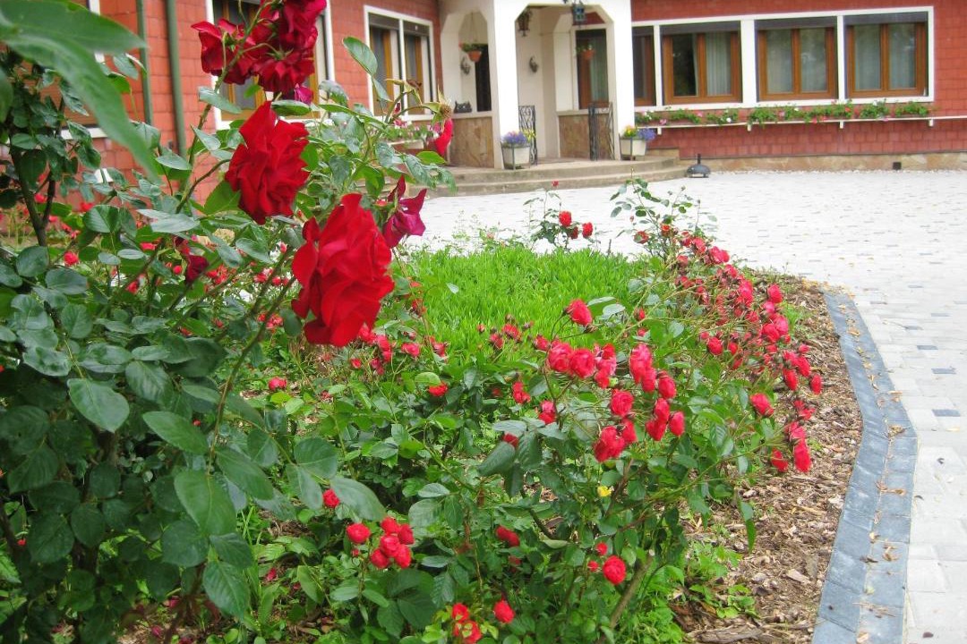 Photo of Others in Sermersheim